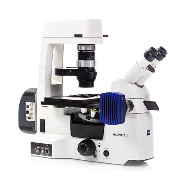 Mikroskop ZEISS "Axiovert 5" mit Mikroskopiekamera "Axiocam 305" und Fluoreszenzbeleuchtung "Colibri 3"
