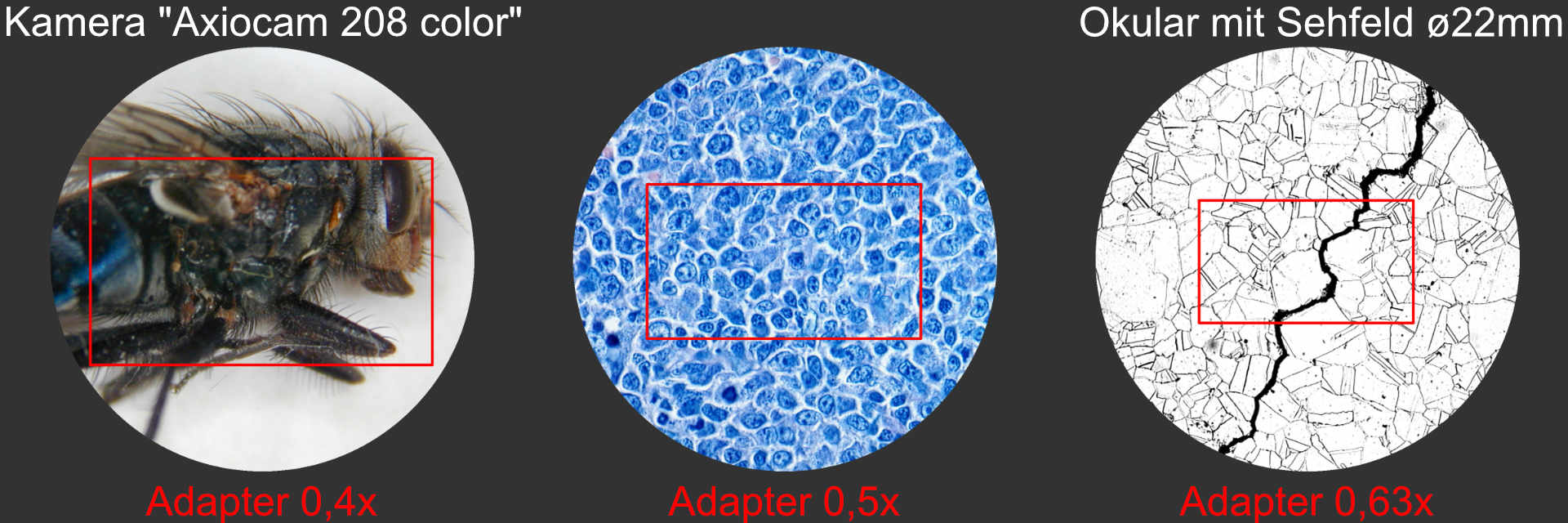Sehfeld ZEISS "Axiocam 208 color" - "Okular 10x(22)" - "Adapter 0,4x - 0,5x - 0,63x"